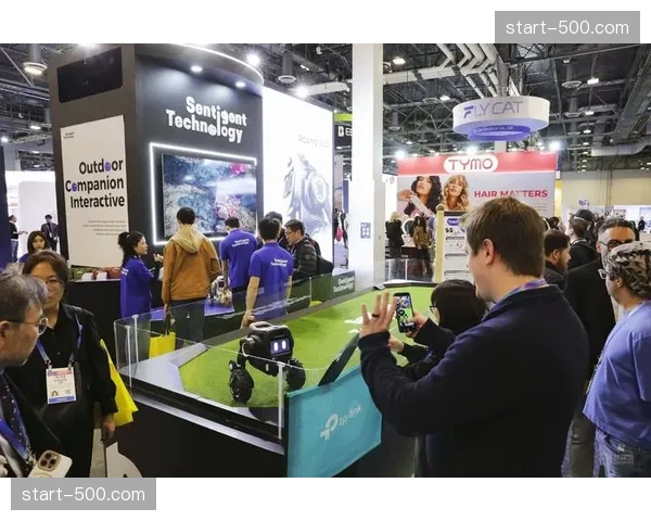 本季度虚拟现场扩建技术大幅落地 突破了物理场地对转播视效限制